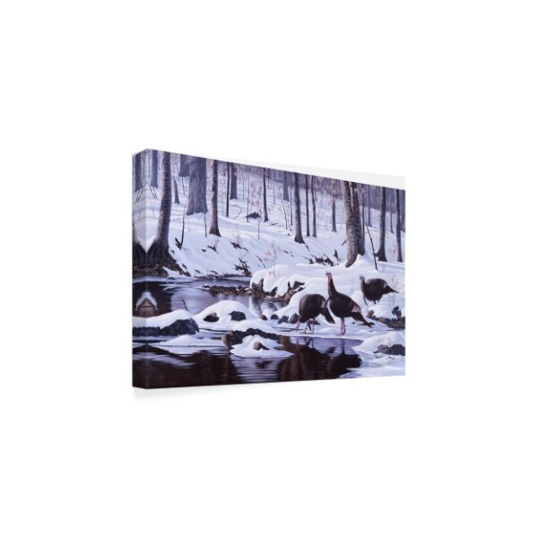 Trademark Fine Art Wilhelm Goebel 'Hardwood Creek Wild Turkeys' Canvas Art, 22x32 - ALI33764-C2232GG