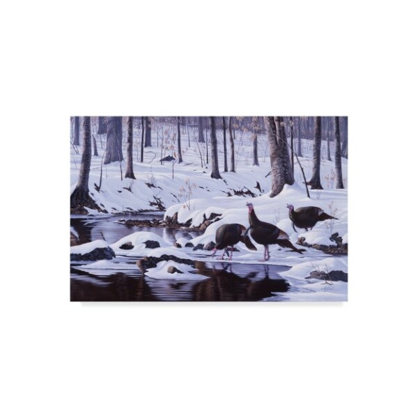 Trademark Fine Art Wilhelm Goebel 'Hardwood Creek Wild Turkeys' Canvas Art, 22x32 - ALI33764-C2232GG