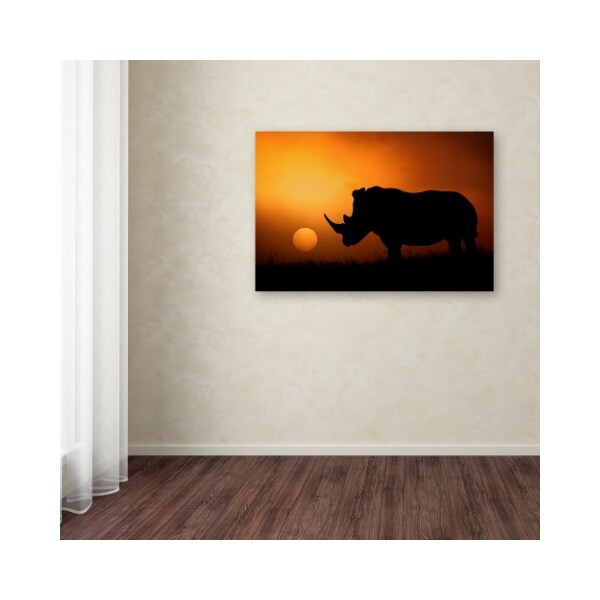 Trademark Fine Art Mario Moreno 'Rhino Sunrise' Canvas Art, 30x47 - 1X00110-C3047GG