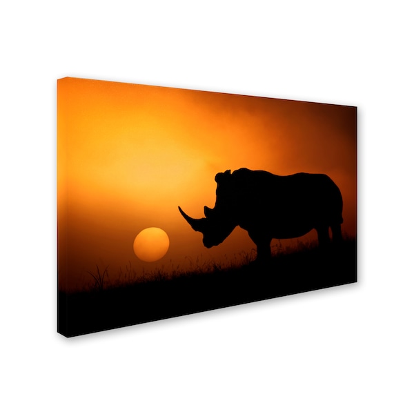 Trademark Fine Art Mario Moreno 'Rhino Sunrise' Canvas Art, 30x47 - 1X00110-C3047GG