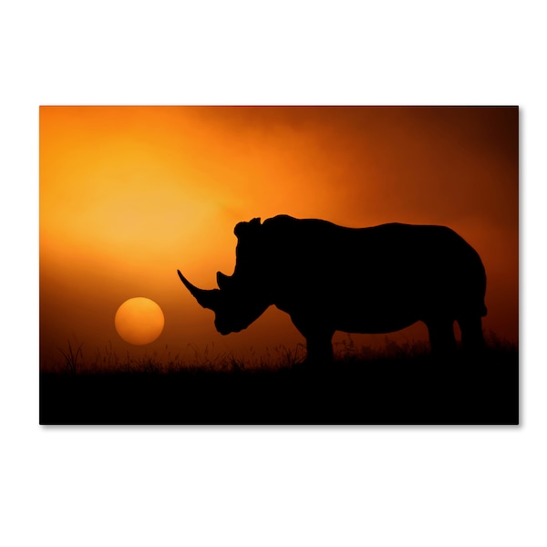 Trademark Fine Art Mario Moreno 'Rhino Sunrise' Canvas Art, 30x47 - 1X00110-C3047GG