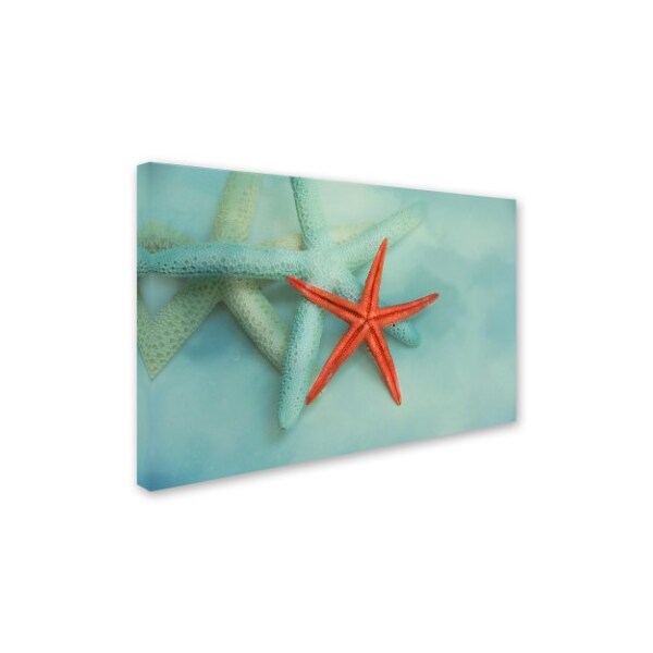 Trademark Fine Art Jai Johnson 'Ocean Treasures' Canvas Art, 30x47 - ALI14624-C3047GG