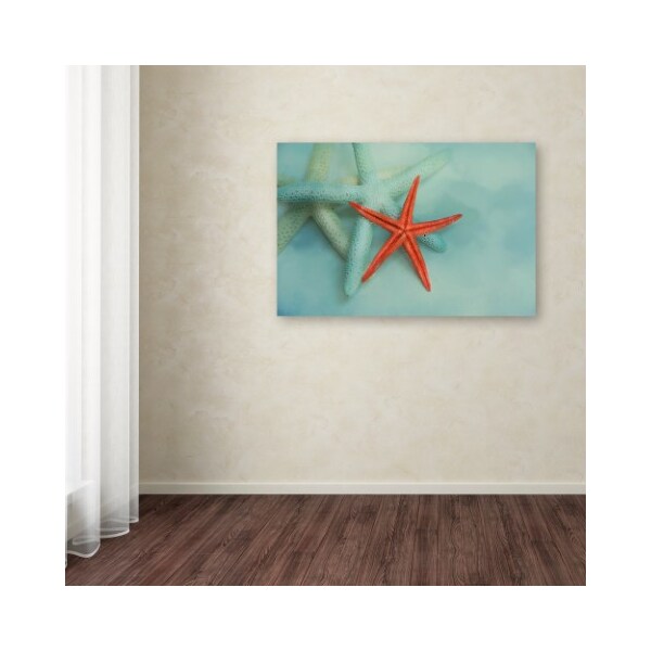 Trademark Fine Art Jai Johnson 'Ocean Treasures' Canvas Art, 30x47 - ALI14624-C3047GG