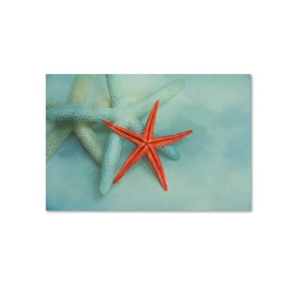 Trademark Fine Art Jai Johnson 'Ocean Treasures' Canvas Art, 30x47 - ALI14624-C3047GG
