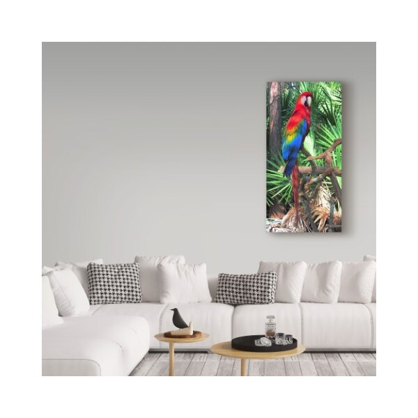 Trademark Fine Art Robert Michaud 'Macaw' Canvas Art, 24x47 - ALI23567-C2447GG