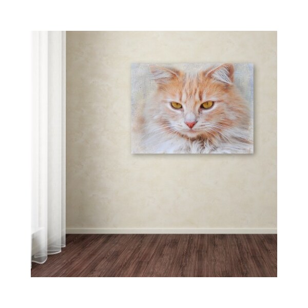 Trademark Fine Art Jai Johnson 'Orange Tabby Cat Portrait' Canvas Art, 18x24 - ALI13905-C1824GG