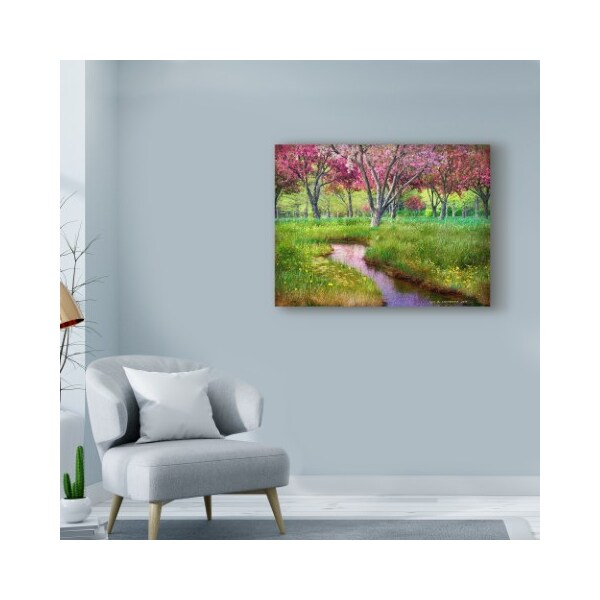 Trademark Fine Art Chris Vest 'Summer Spring' Canvas Art, 35x47 - WAG03545-C3547GG
