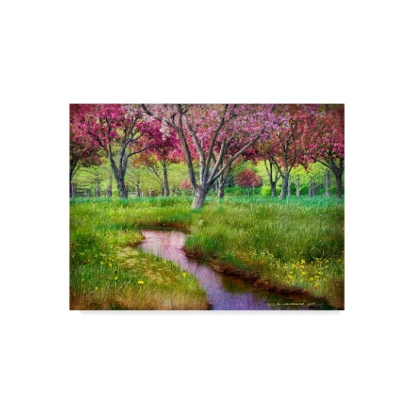 Trademark Fine Art Chris Vest 'Summer Spring' Canvas Art, 35x47 - WAG03545-C3547GG