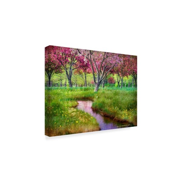 Trademark Fine Art Chris Vest 'Summer Spring' Canvas Art, 35x47 - WAG03545-C3547GG