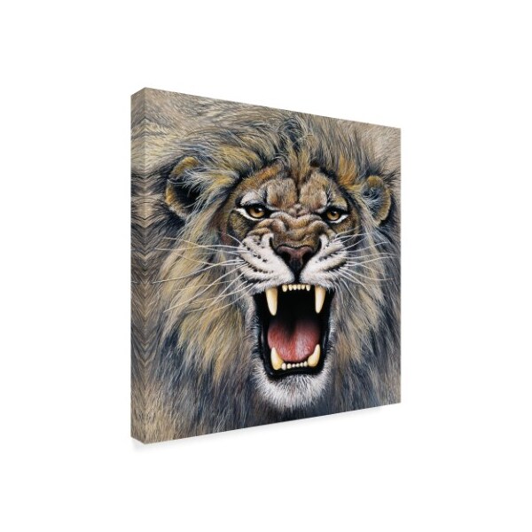 Trademark Fine Art Harro Maass 'Lion Roaring' Canvas Art, 14x14 - ALI35668-C1414GG