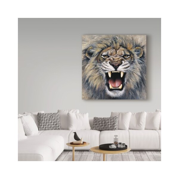 Trademark Fine Art Harro Maass 'Lion Roaring' Canvas Art, 14x14 - ALI35668-C1414GG