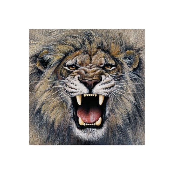 Trademark Fine Art Harro Maass 'Lion Roaring' Canvas Art, 14x14 - ALI35668-C1414GG