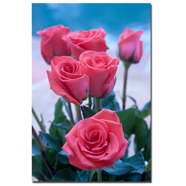 Trademark Fine Art Martha Guerra 'Rose Bouquet' Canvas Art, 16x24 - MG0200-C1624GG