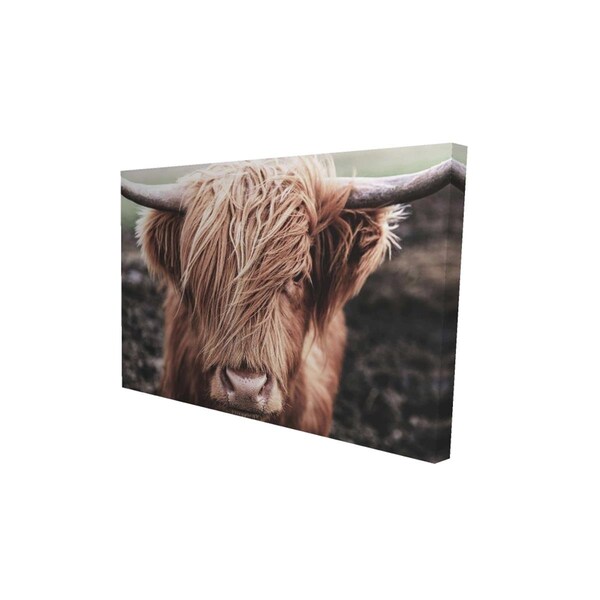 Fondo 12 x 18 in. Desaturated Highland Cow-Print on Canvas - FO2776301
