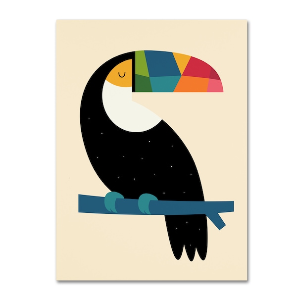 Trademark Fine Art Andy Westface 'Rainbow Toucan' Canvas Art, 14x19 - ALI10699-C1419GG