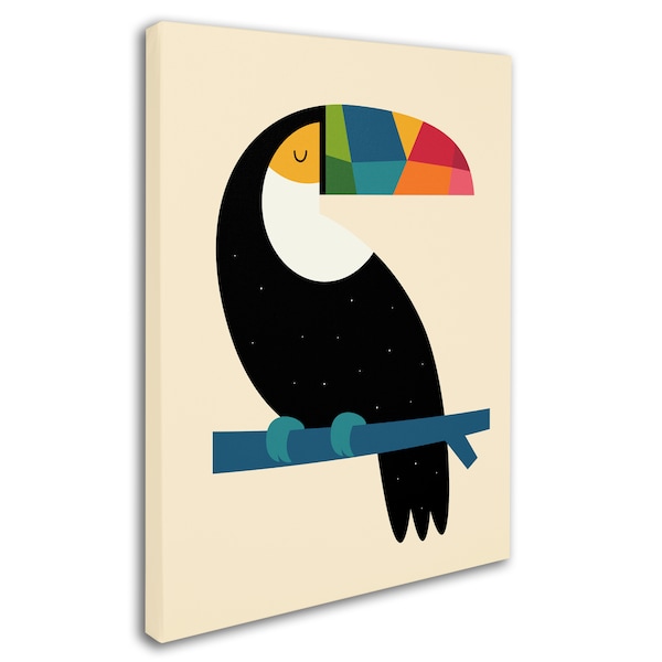 Trademark Fine Art Andy Westface 'Rainbow Toucan' Canvas Art, 14x19 - ALI10699-C1419GG