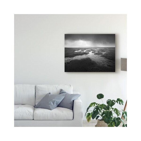 Trademark Fine Art Martin Henson 'Scale Moor' Canvas Art, 35x47 - WAG03337-C3547GG