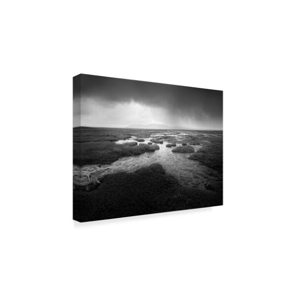 Trademark Fine Art Martin Henson 'Scale Moor' Canvas Art, 35x47 - WAG03337-C3547GG