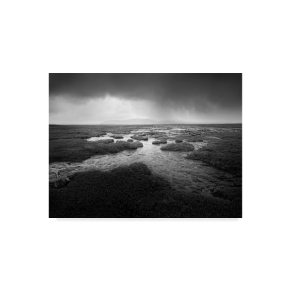 Trademark Fine Art Martin Henson 'Scale Moor' Canvas Art, 35x47 - WAG03337-C3547GG
