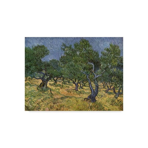 Trademark Fine Art Vincent Van Gogh 'Olive Orchard Midjune' Canvas Art, 35x47 - BL01911-C3547GG
