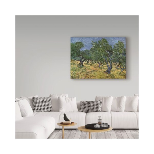 Trademark Fine Art Vincent Van Gogh 'Olive Orchard Midjune' Canvas Art, 35x47 - BL01911-C3547GG