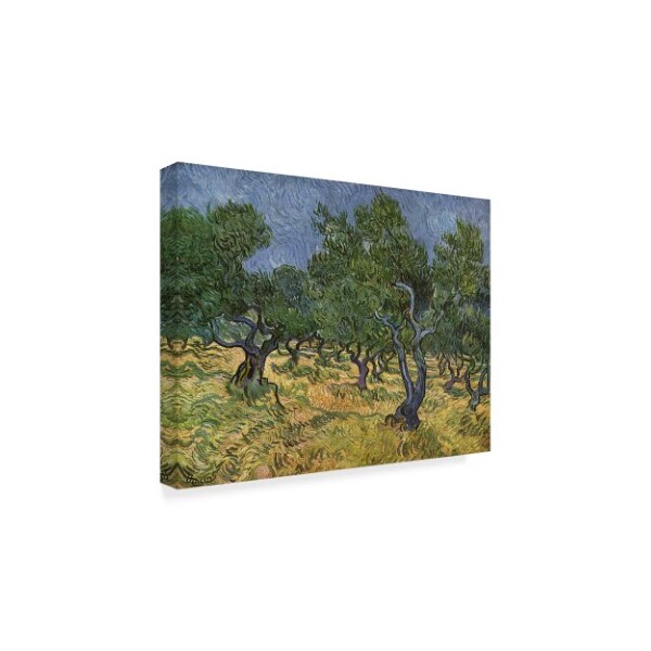 Trademark Fine Art Vincent Van Gogh 'Olive Orchard Midjune' Canvas Art, 35x47 - BL01911-C3547GG