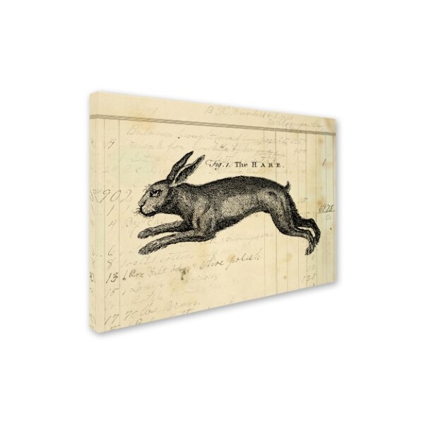 Trademark Fine Art Marcee Duggar 'The Hare' Canvas Art, 24x32 - ALI11767-C2432GG