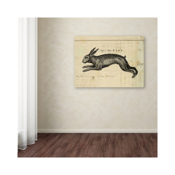 Trademark Fine Art Marcee Duggar 'The Hare' Canvas Art, 24x32 - ALI11767-C2432GG