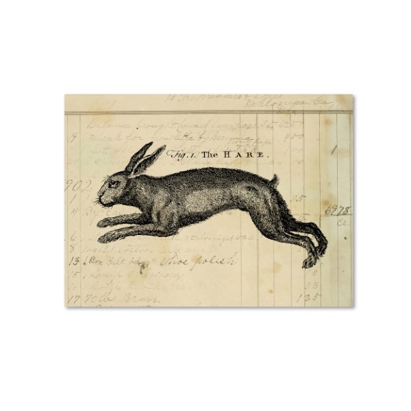 Trademark Fine Art Marcee Duggar 'The Hare' Canvas Art, 24x32 - ALI11767-C2432GG
