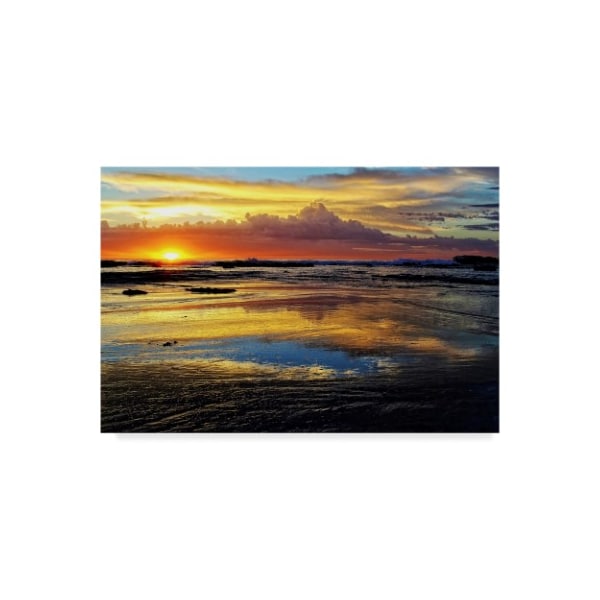 Trademark Fine Art Incredi 'Sunrise Secrets' Canvas Art, 16x24 - ALI36137-C1624GG