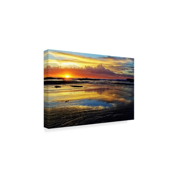 Trademark Fine Art Incredi 'Sunrise Secrets' Canvas Art, 16x24 - ALI36137-C1624GG