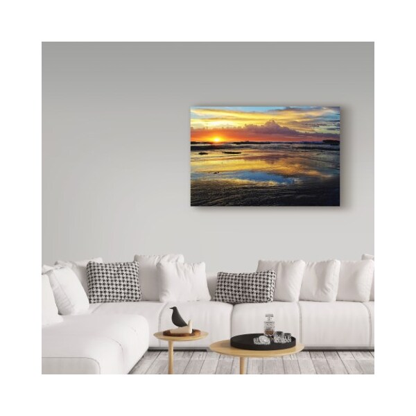 Trademark Fine Art Incredi 'Sunrise Secrets' Canvas Art, 16x24 - ALI36137-C1624GG