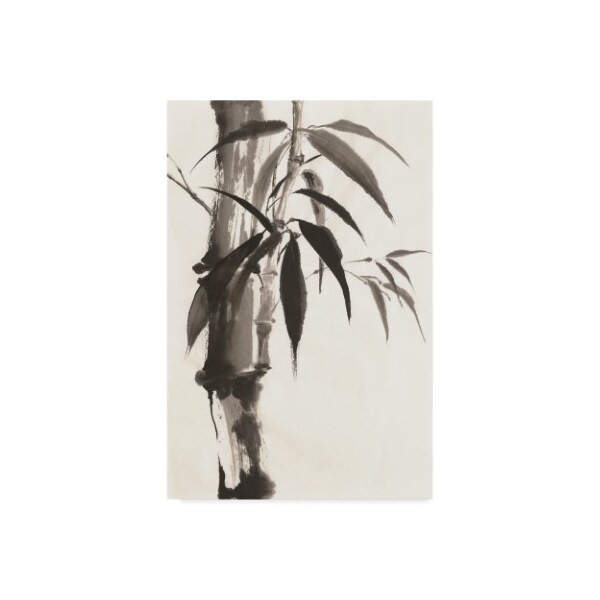 Trademark Fine Art Chris Paschke 'Sumi Bamboo' Canvas Art, 16x24 - WAP05932-C1624GG