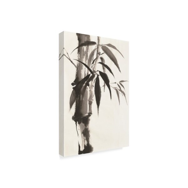 Trademark Fine Art Chris Paschke 'Sumi Bamboo' Canvas Art, 16x24 - WAP05932-C1624GG