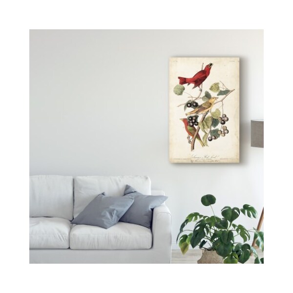 Trademark Fine Art John James Audubon 'Summer Red Bird' Canvas Art, 12x19 - WAG04224-C1219GG