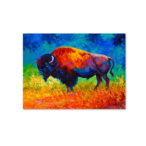 Trademark Fine Art Marion Rose 'Master Of His Herd' Canvas Art, 18x24 - ALI7751-C1824GG