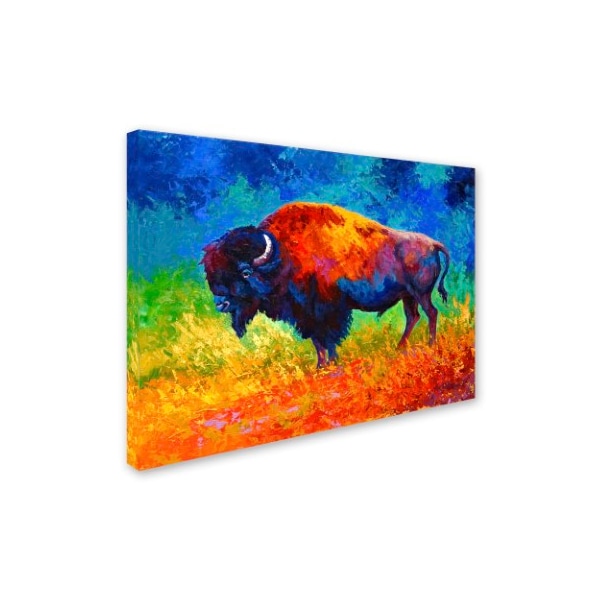 Trademark Fine Art Marion Rose 'Master Of His Herd' Canvas Art, 18x24 - ALI7751-C1824GG