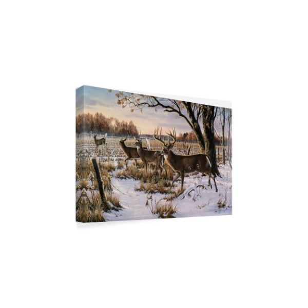 Trademark Fine Art Wilhelm Goebel 'Cautious Crossing Whitetails' Canvas Art, 16x24 - ALI33753-C1624GG