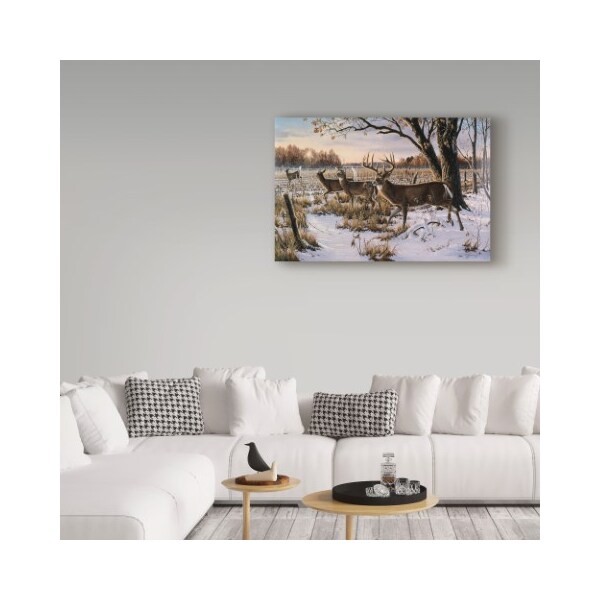 Trademark Fine Art Wilhelm Goebel 'Cautious Crossing Whitetails' Canvas Art, 16x24 - ALI33753-C1624GG