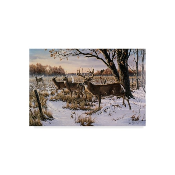 Trademark Fine Art Wilhelm Goebel 'Cautious Crossing Whitetails' Canvas Art, 16x24 - ALI33753-C1624GG