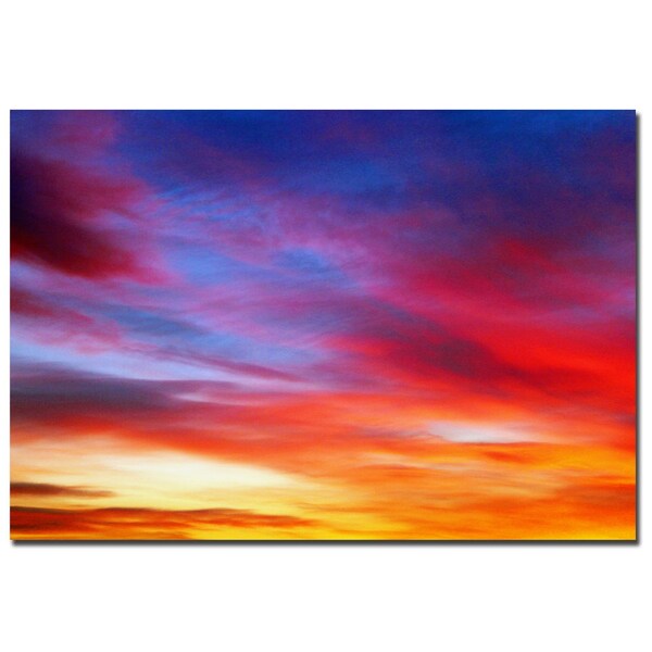 Trademark Fine Art CATeyes 'Veils' Canvas Art, 22x32 - MZ0112-C2232GG