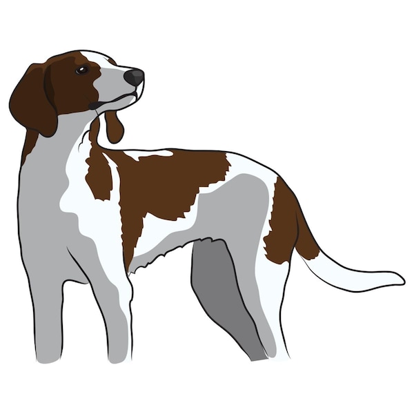 Amistad 7 x 20 in. Super Cute Dog Decal - Treeing Walker Coonhound - AM2073626
