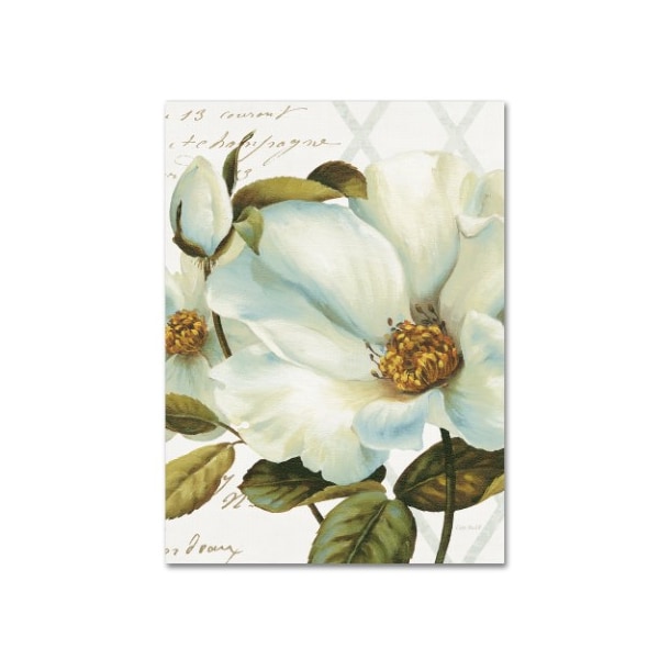 Trademark Fine Art Lisa Audit 'White Floral Bliss II Crop' Canvas Art, 24x32 - WAP01394-C2432GG
