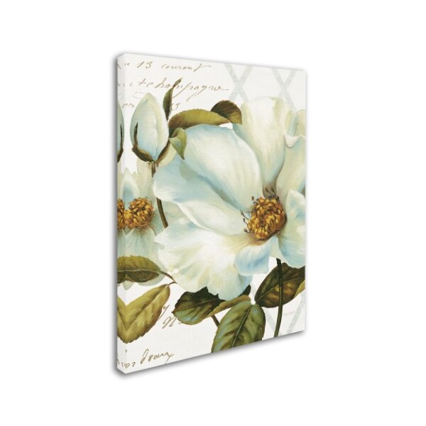 Trademark Fine Art Lisa Audit 'White Floral Bliss II Crop' Canvas Art, 24x32 - WAP01394-C2432GG