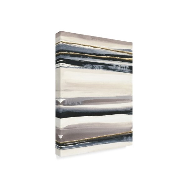 Trademark Fine Art Chris Paschke 'Gilded Grey Iii' Canvas Art, 24x32 - WAP05947-C2432GG