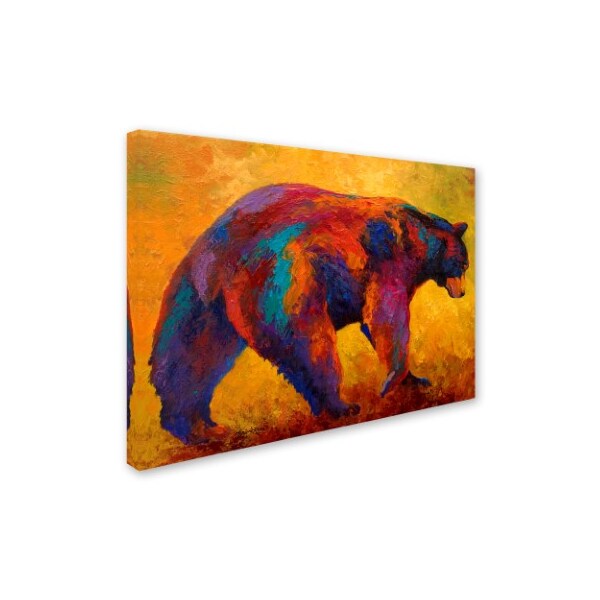 Trademark Fine Art Marion Rose 'Daily Rounds Black Bear' Canvas Art, 24x32 - ALI10577-C2432GG