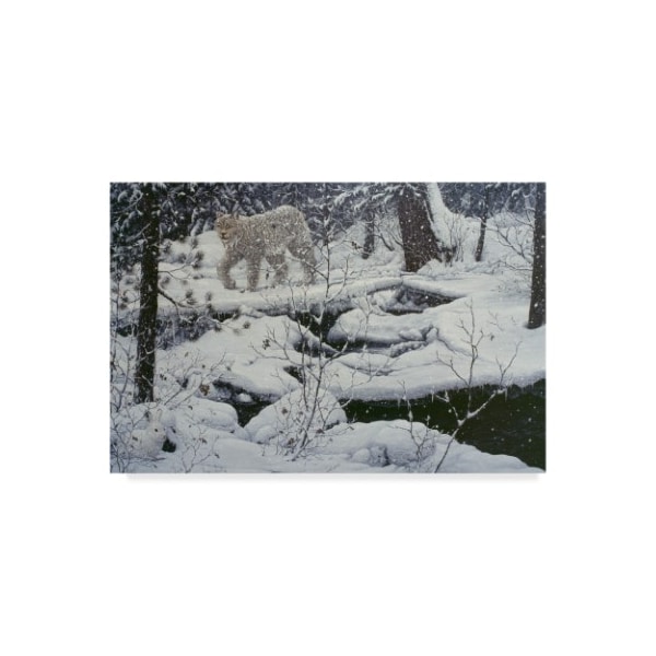 Trademark Fine Art Jeff Tift 'Canadian Lynx' Canvas Art, 30x47 - ALI30189-C3047GG
