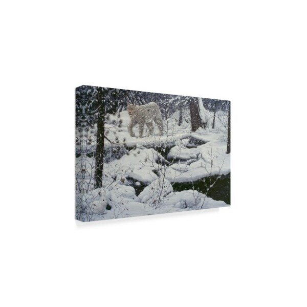 Trademark Fine Art Jeff Tift 'Canadian Lynx' Canvas Art, 30x47 - ALI30189-C3047GG