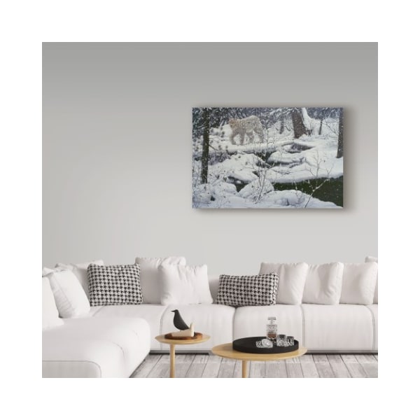 Trademark Fine Art Jeff Tift 'Canadian Lynx' Canvas Art, 30x47 - ALI30189-C3047GG