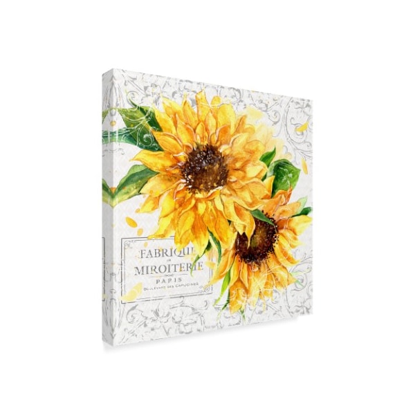 Trademark Fine Art Irina Trzaskos Studio 'Summertime Sunflowers I' Canvas Art, 35x35 - ALI21028-C3535GG